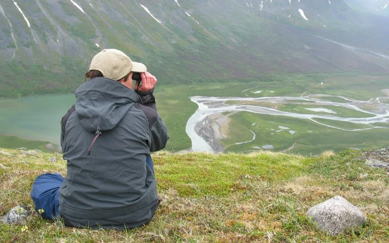 Anders Esselin – Man & Nature